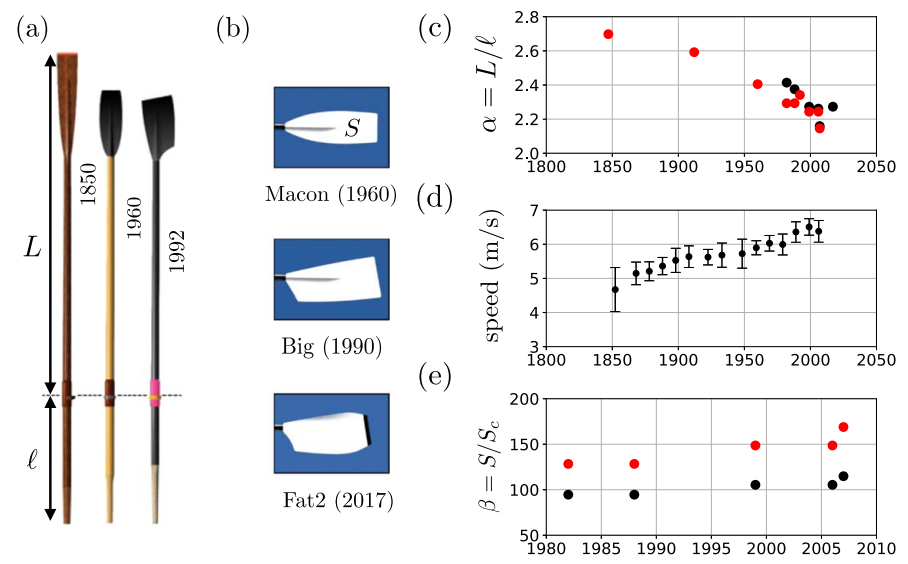 Figure 2 from the cited paper