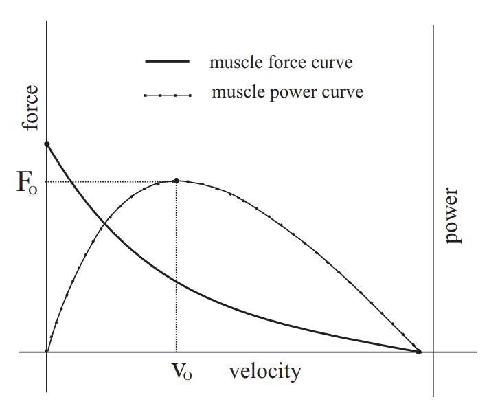 Figure 1 from the cited paper
