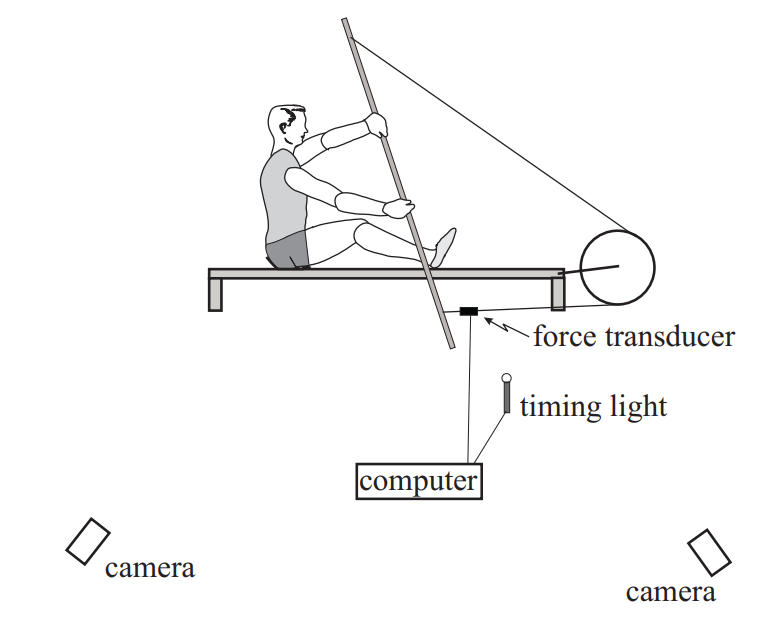 Figure 2 from the cited paper