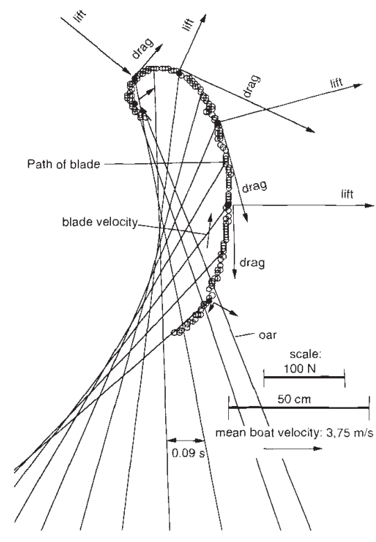 Hydrodynamic Efficiency Analysis in Paddle Sports Performance