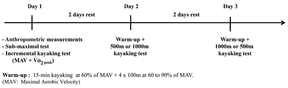 Figure 1 from the cited paper