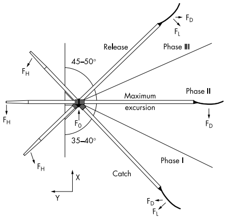 Biomechanical Analysis of Propulsion in Paddle Sports